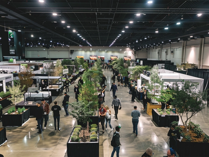 Illinois Cannabis Convention 2024 (What You Need to Know)