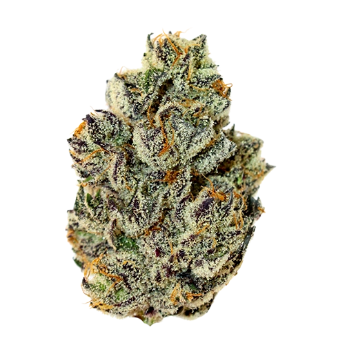 Close-up of a dense Lula’s Truffle Cake cannabis flower showcasing frosty trichomes, purple hues, and orange pistils on a white background.