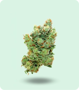 Single cannabis flower bud with green and orange tones displayed on a soft mint-green background, representing marijuana flower products.