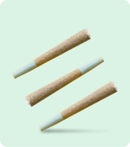 Three cannabis pre-rolls arranged diagonally on a soft mint-green background, representing marijuana preroll products.